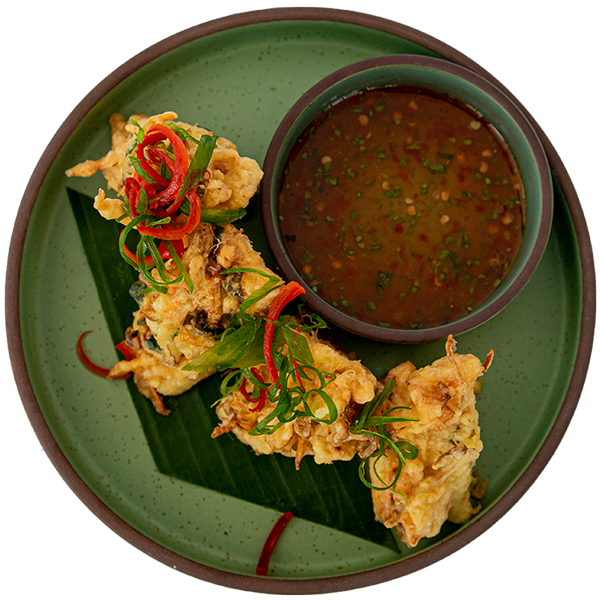 Tahu Susu Sayuran